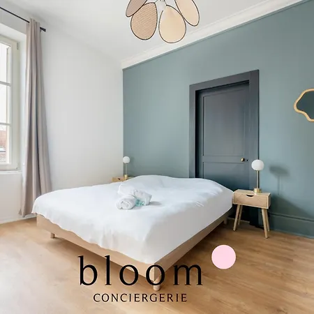 Le Drouin D Standing Neuf Nancy