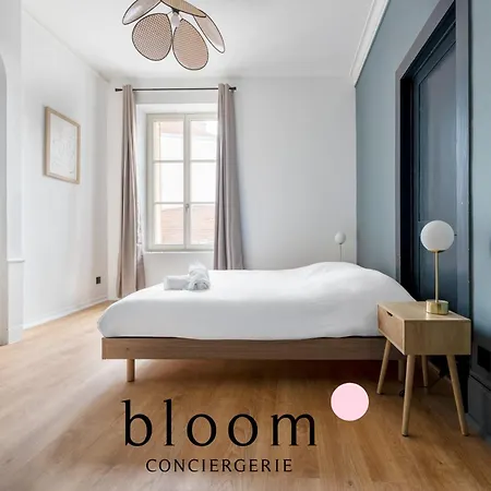 Le Drouin D Standing Neuf * Nancy