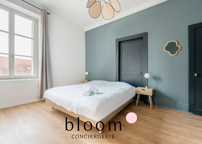 Le Drouin D Standing Neuf Nancy