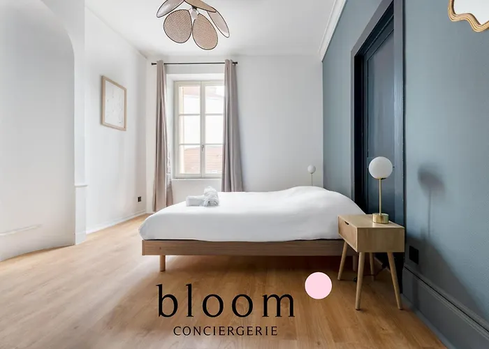 Le Drouin D Standing Neuf * Nancy